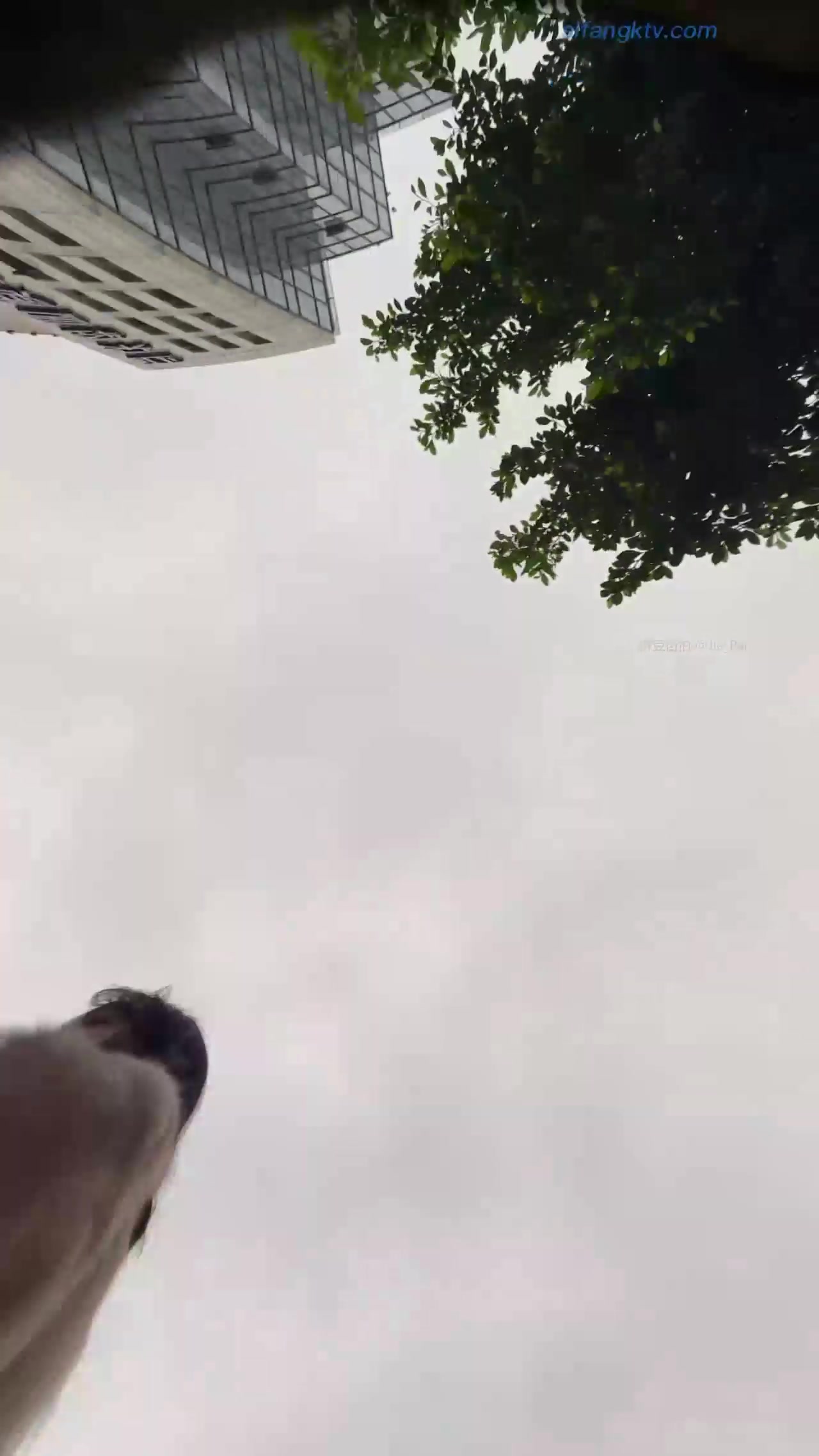 11dc841c-3473-11f0-85ba-060db0d232c4.jpg